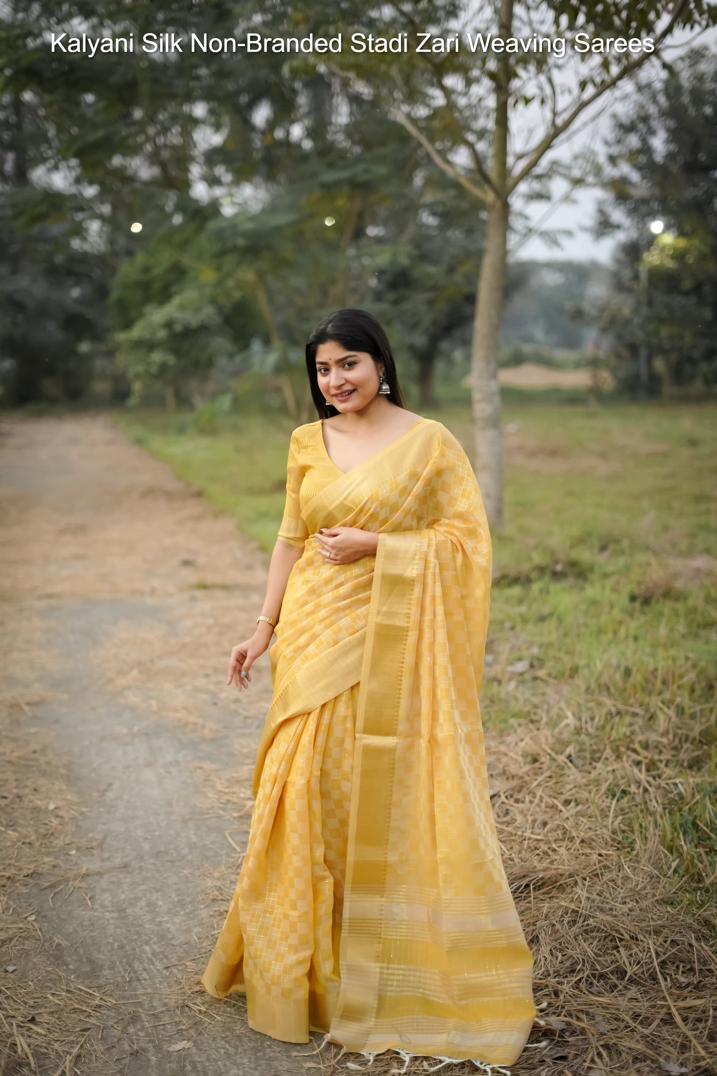 Kalyani Silk Non-Branded Stadi Zari Weaving Sarees