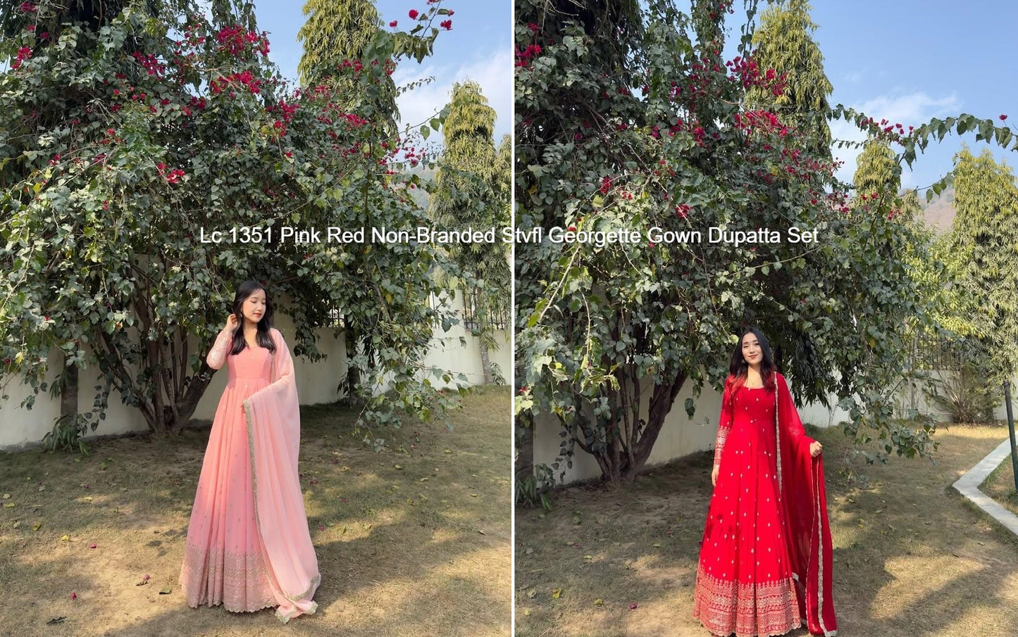 Lc 1351 Pink Red Non-Branded Stvfl Georgette Gown Dupatta Set