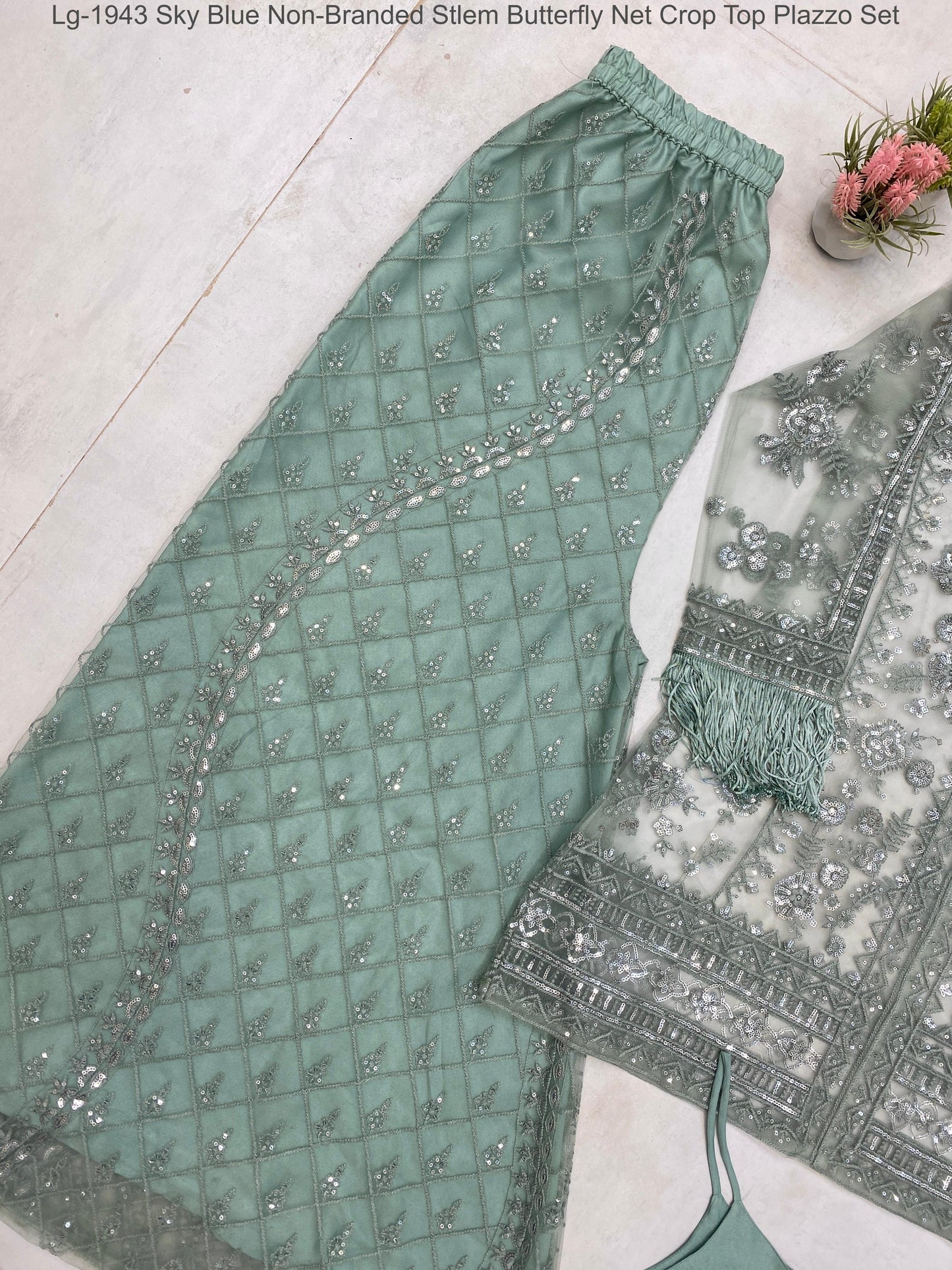 Lg-1943 Sky Blue Non-Branded Stlem Butterfly Net Crop Top Plazzo Set