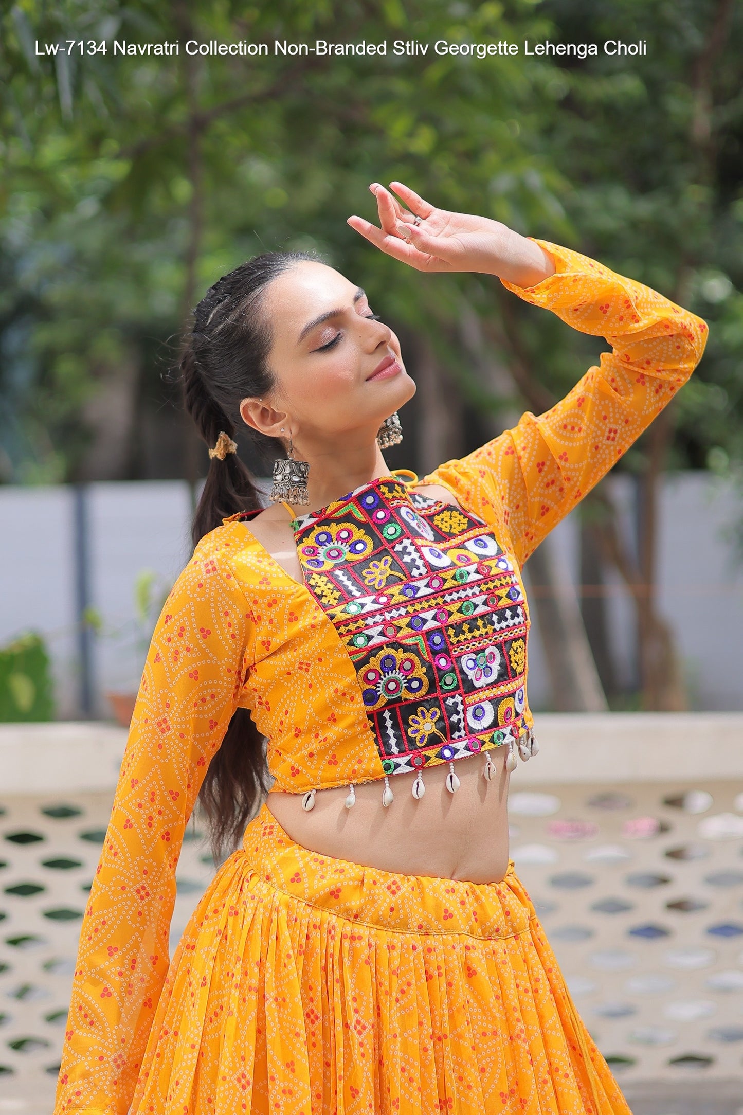 Lw-7134 Navratri Collection Non-Branded Stliv Georgette Lehenga Choli