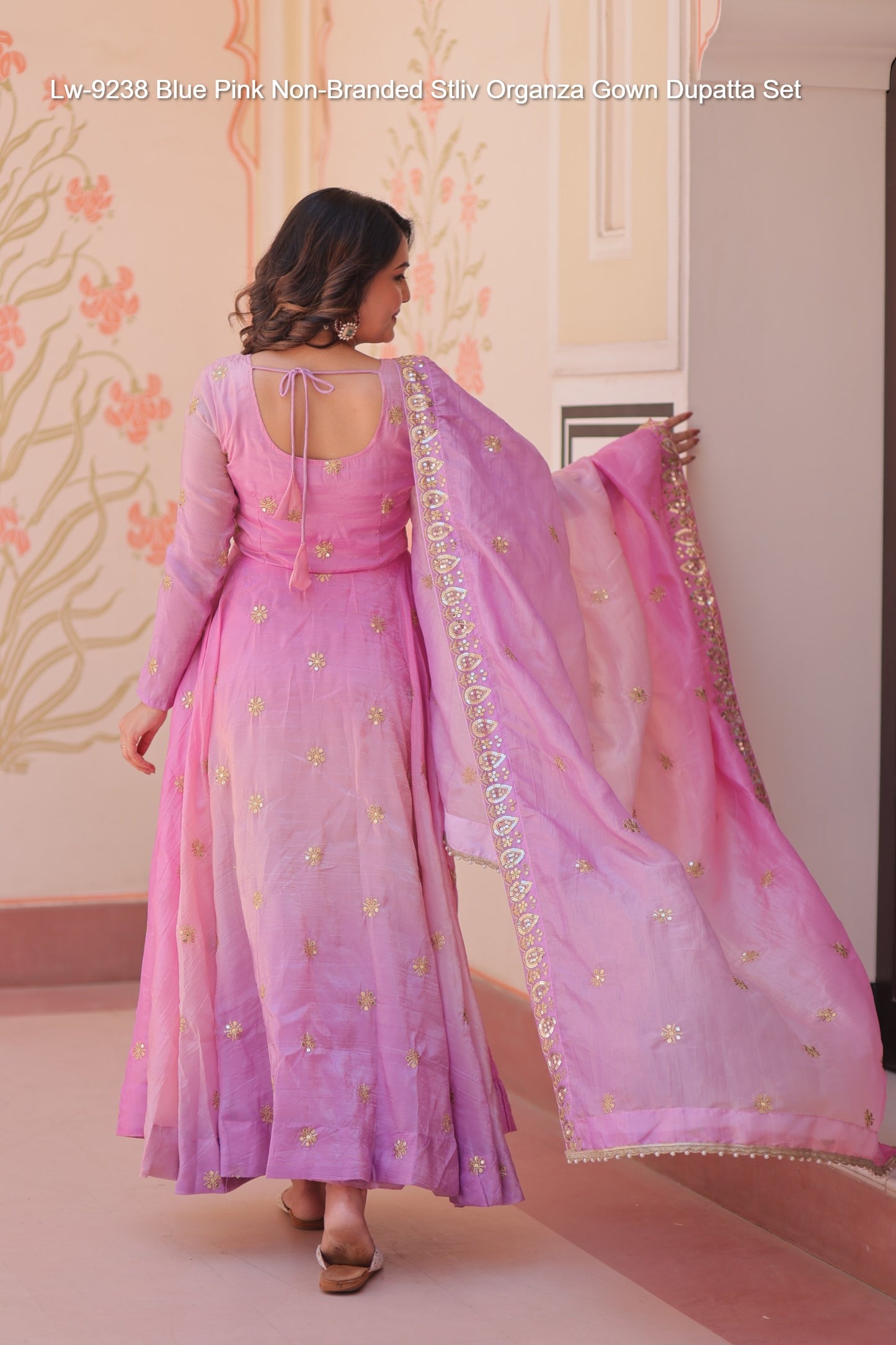 Lw-9238 Blue Pink Non-Branded Stliv Organza Gown Dupatta Set