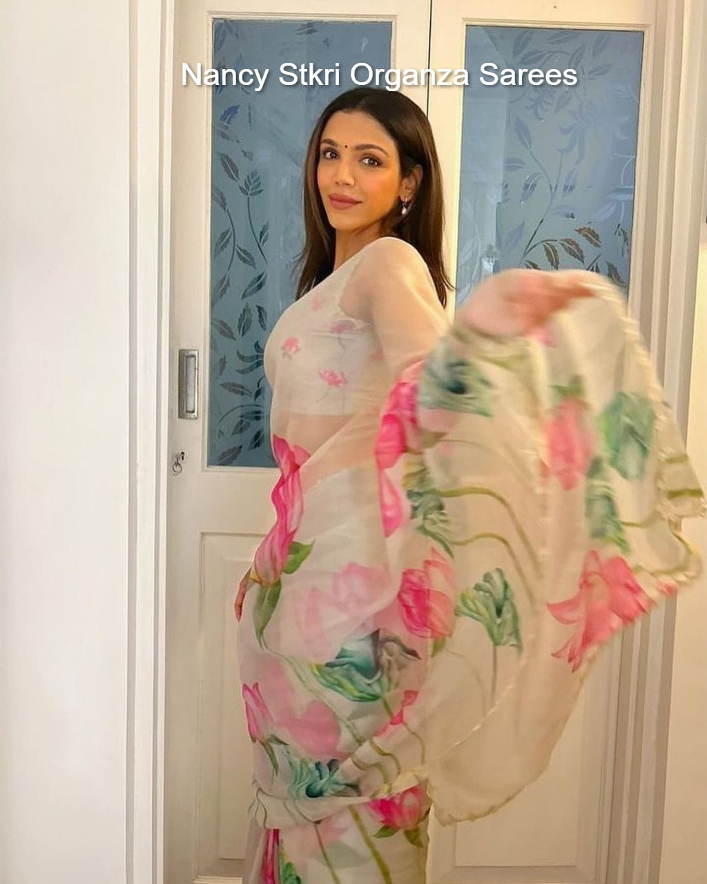 Nancy Stkri Organza Sarees