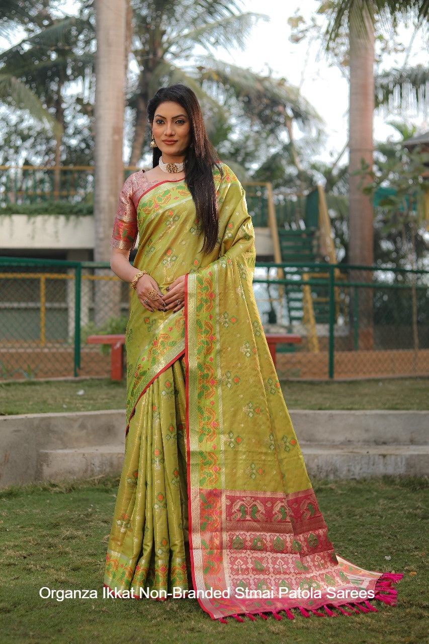 Organza Ikkat Non-Branded Stmai Patola Sarees