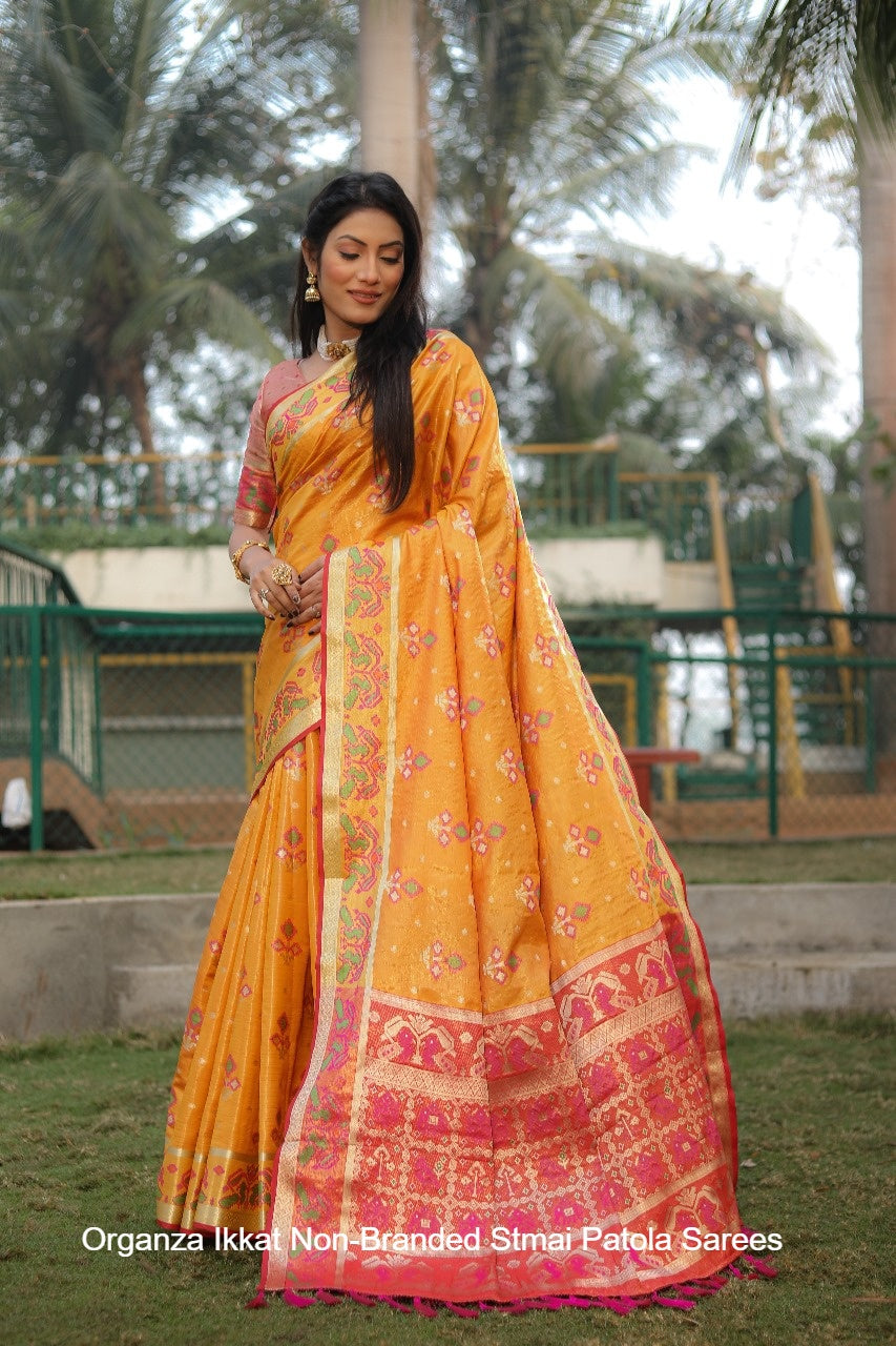 Organza Ikkat Non-Branded Stmai Patola Sarees