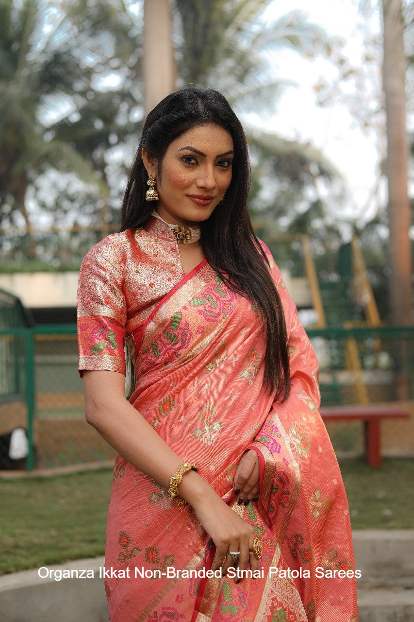 Organza Ikkat Non-Branded Stmai Patola Sarees