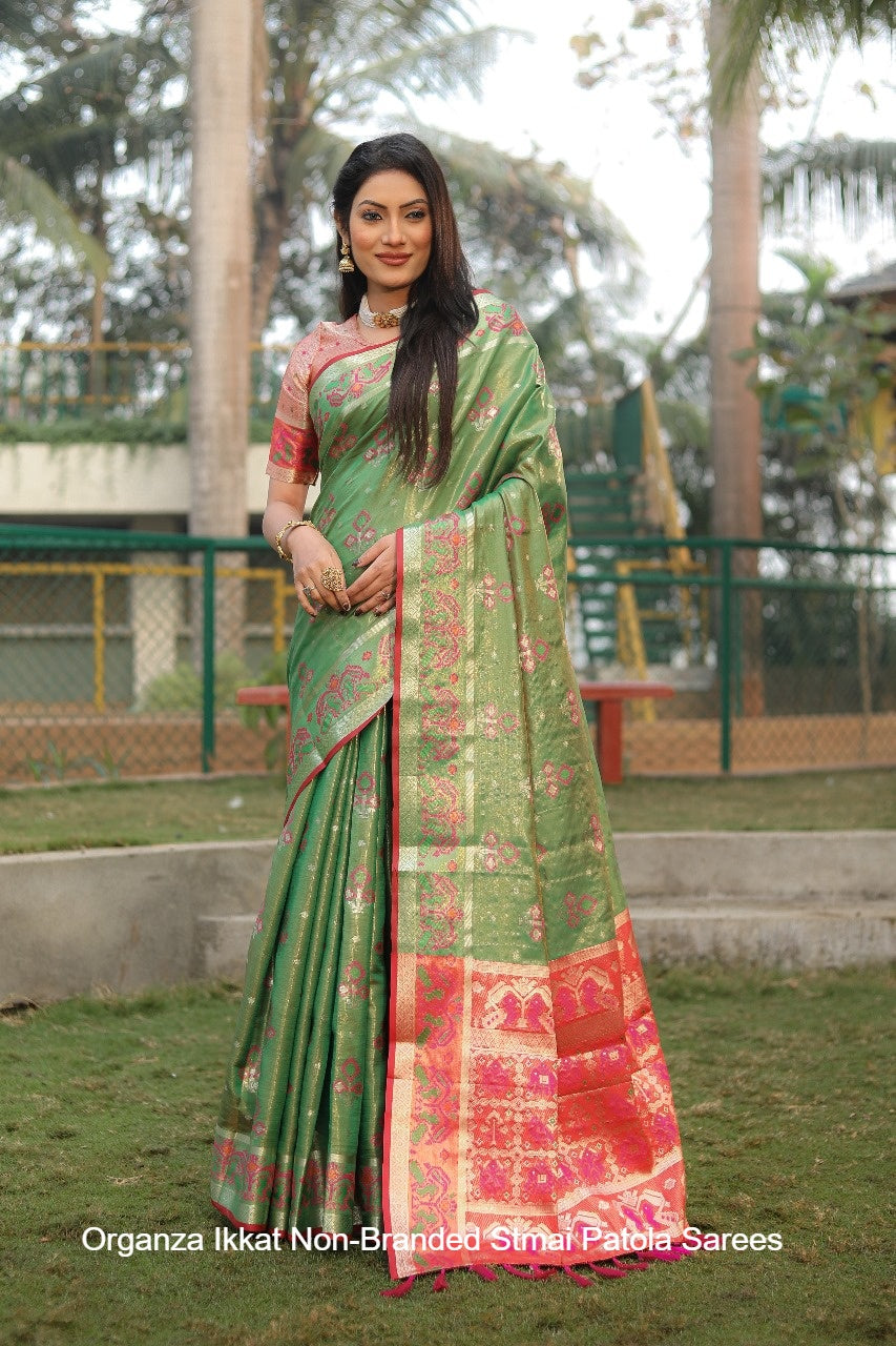 Organza Ikkat Non-Branded Stmai Patola Sarees