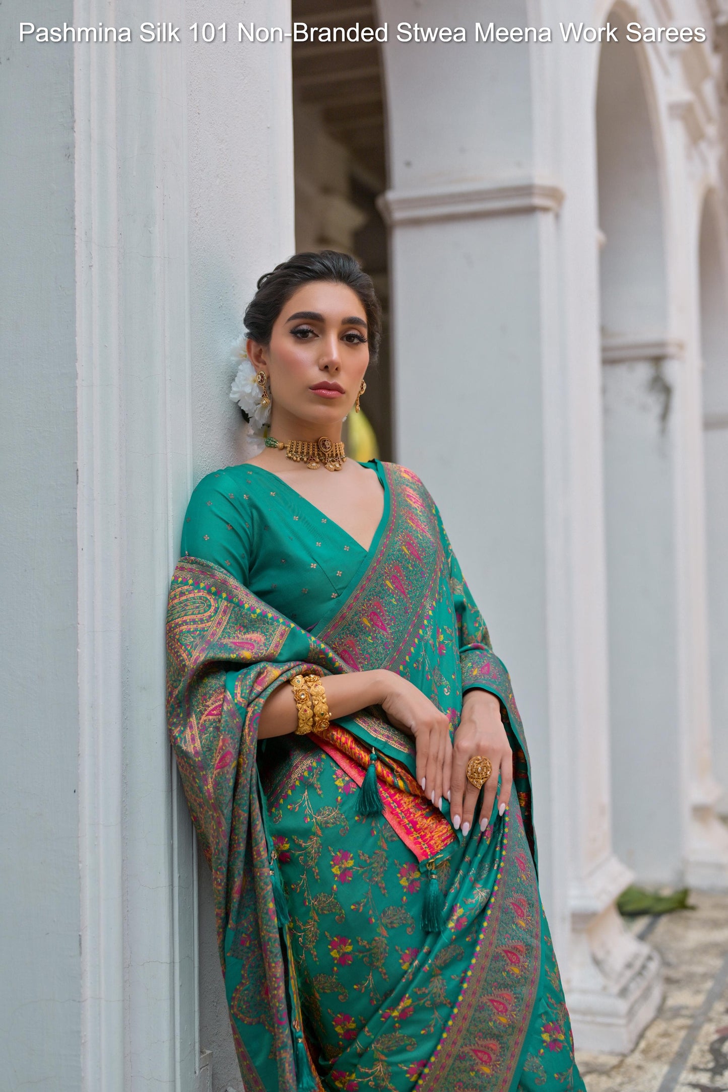 Pashmina Silk 101 Non-Branded Stwea Meena Work Sarees