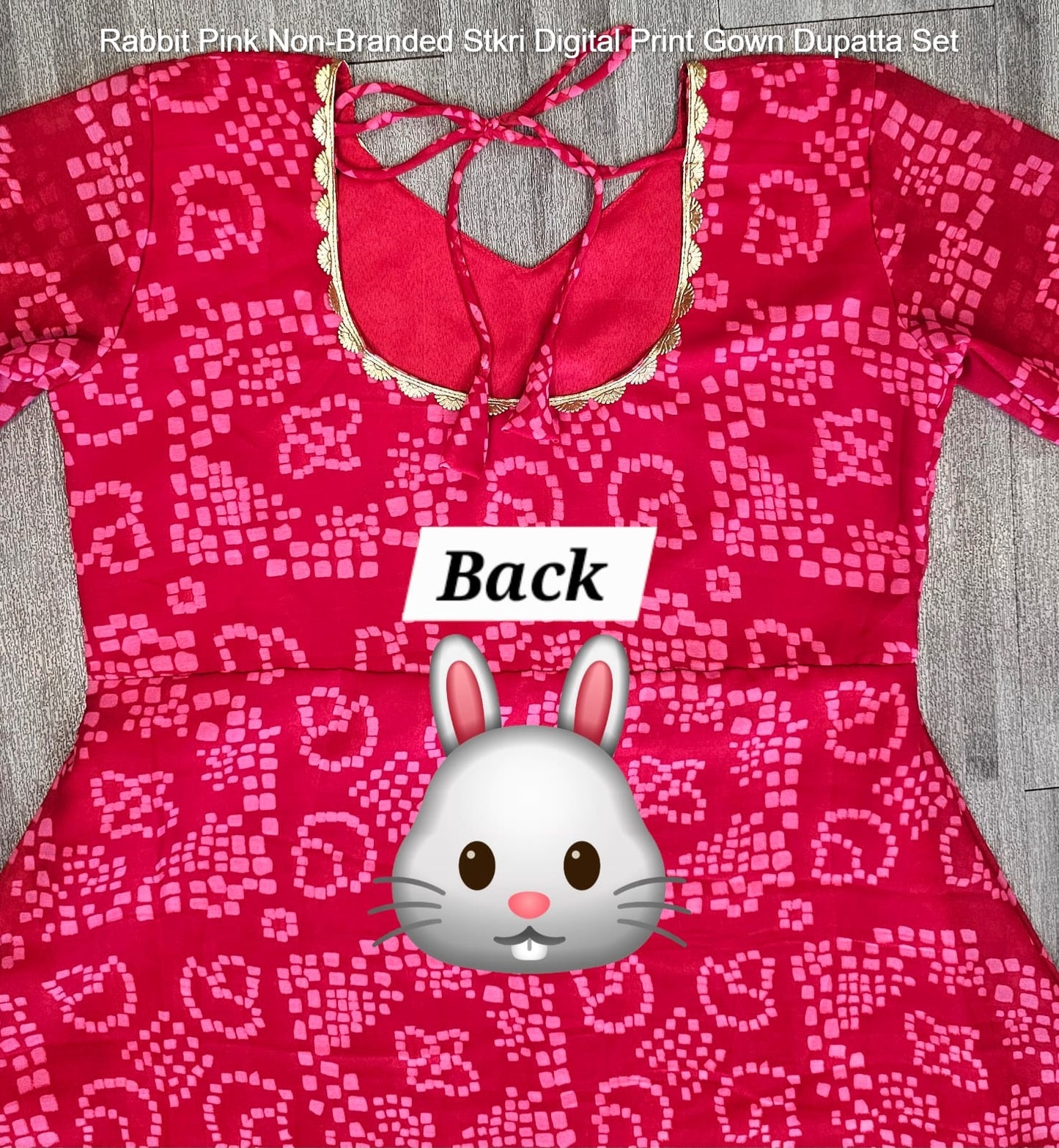Rabbit Pink Non-Branded Stkri Digital Print Gown Dupatta Set