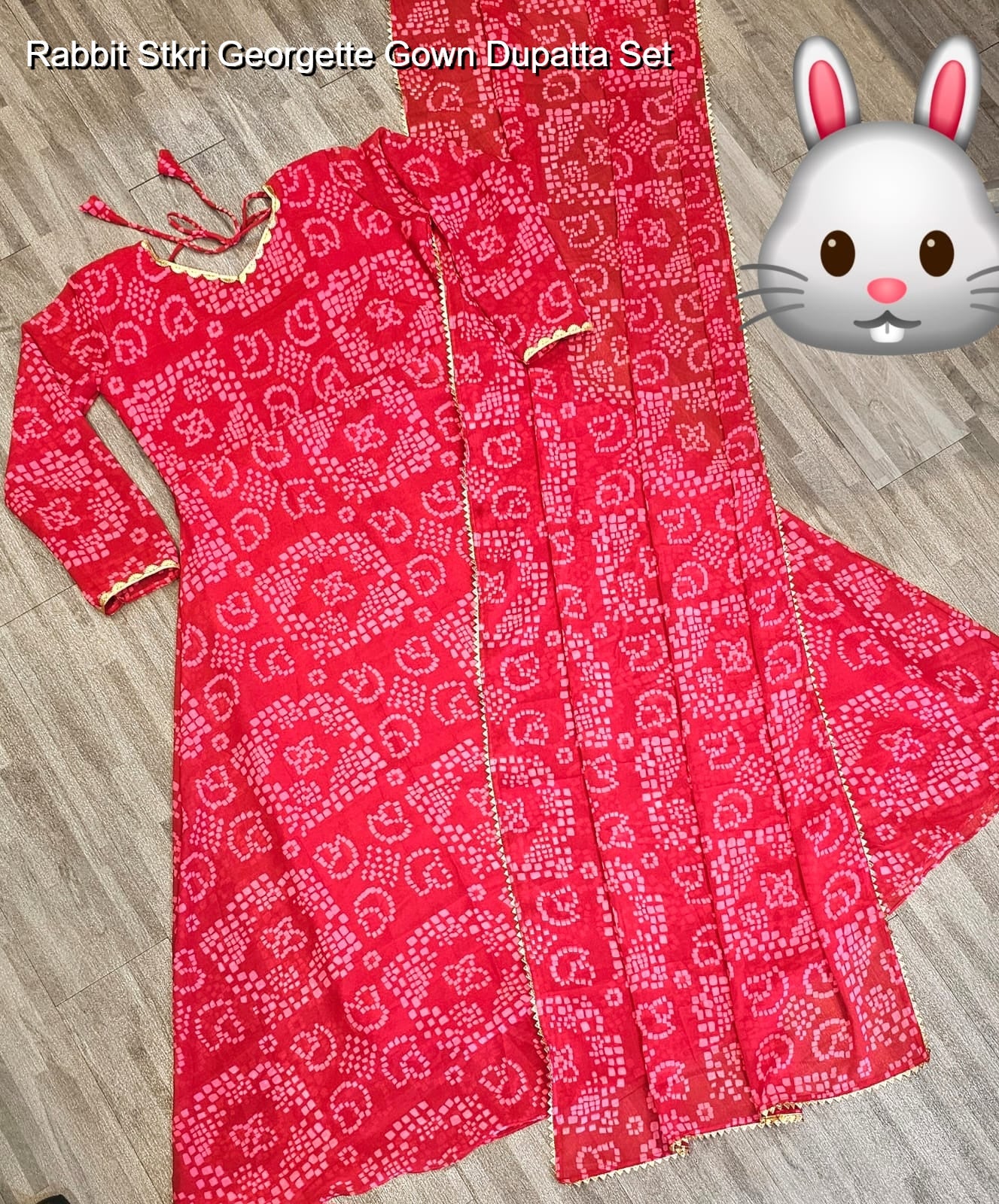 Rabbit Stkri Georgette Gown Dupatta Set