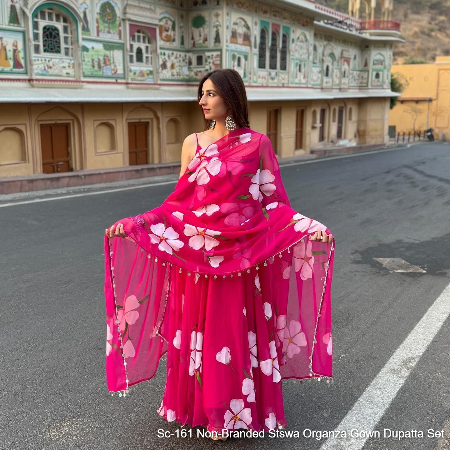 Sc-161 Non-Branded Stswa Organza Gown Dupatta Set