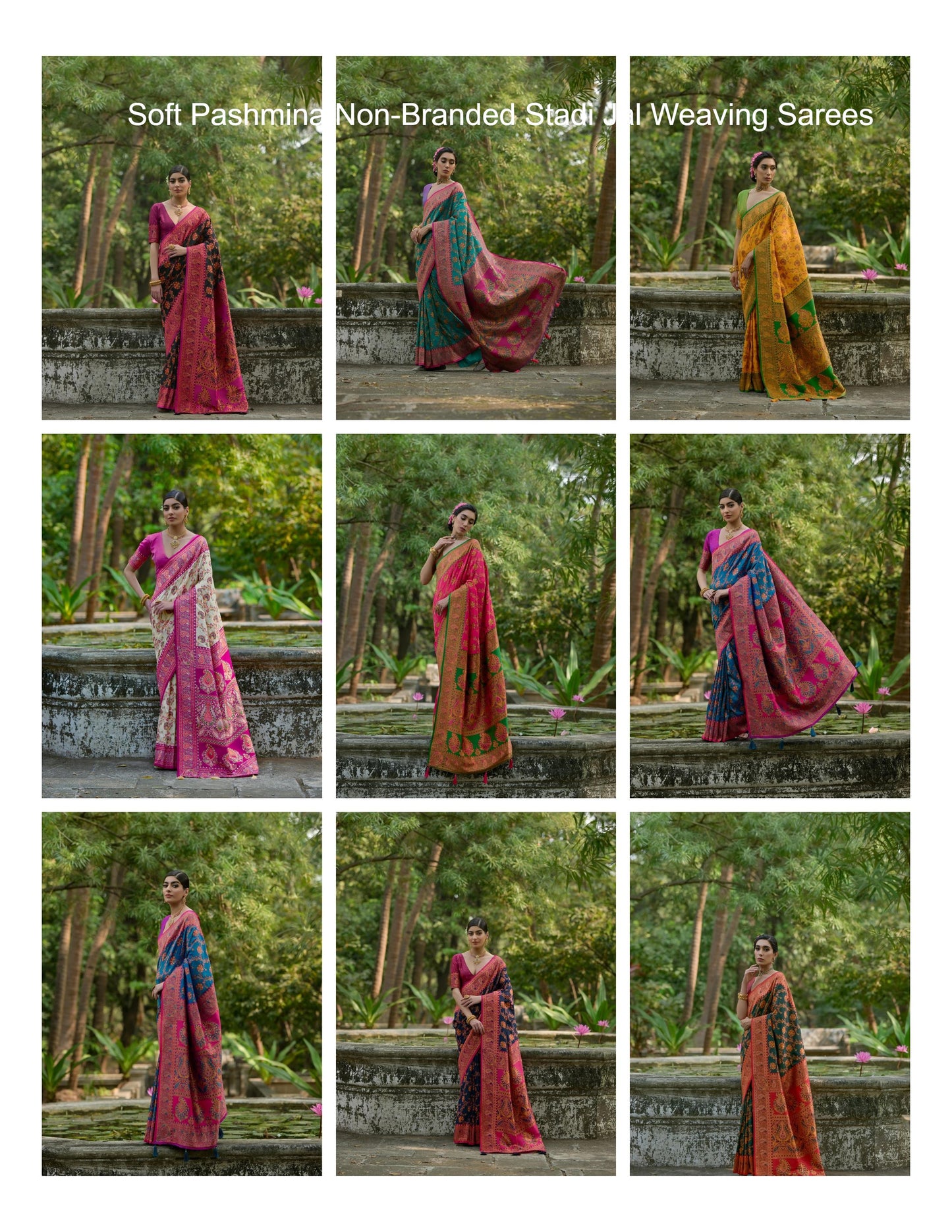Soft Pashmina Non-Branded Stadi Jal Weaving Sarees