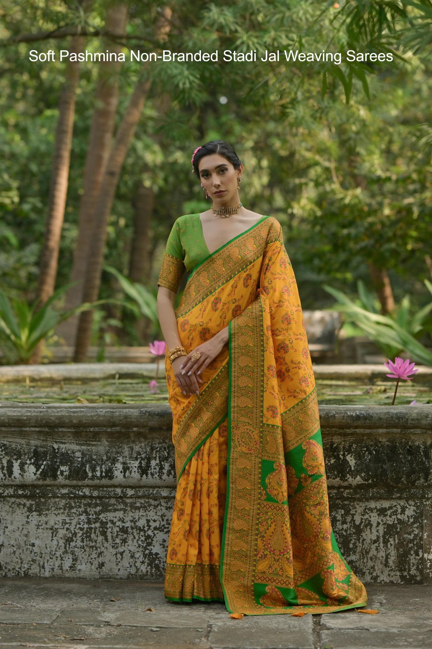 Soft Pashmina Non-Branded Stadi Jal Weaving Sarees