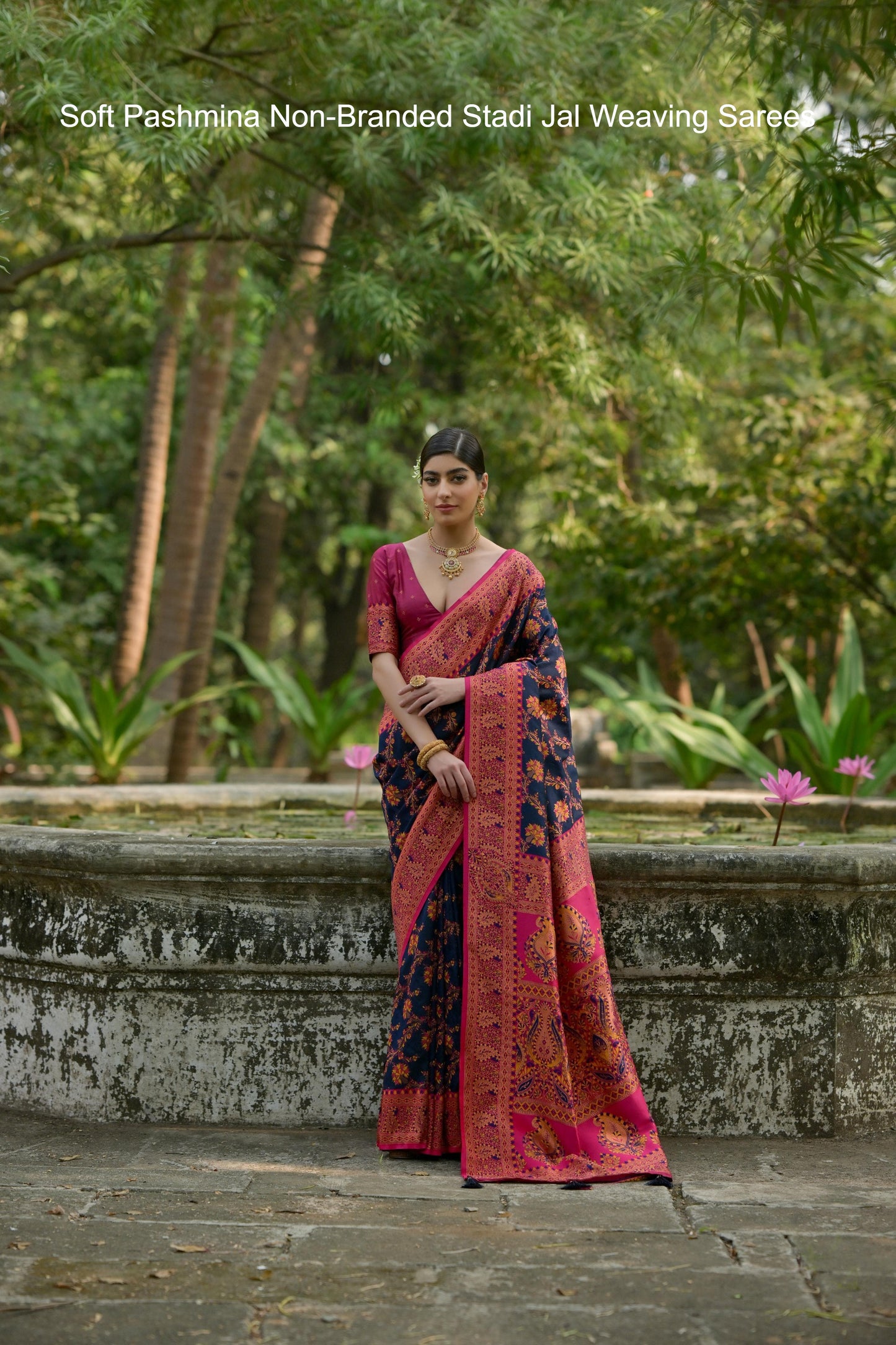 Soft Pashmina Non-Branded Stadi Jal Weaving Sarees