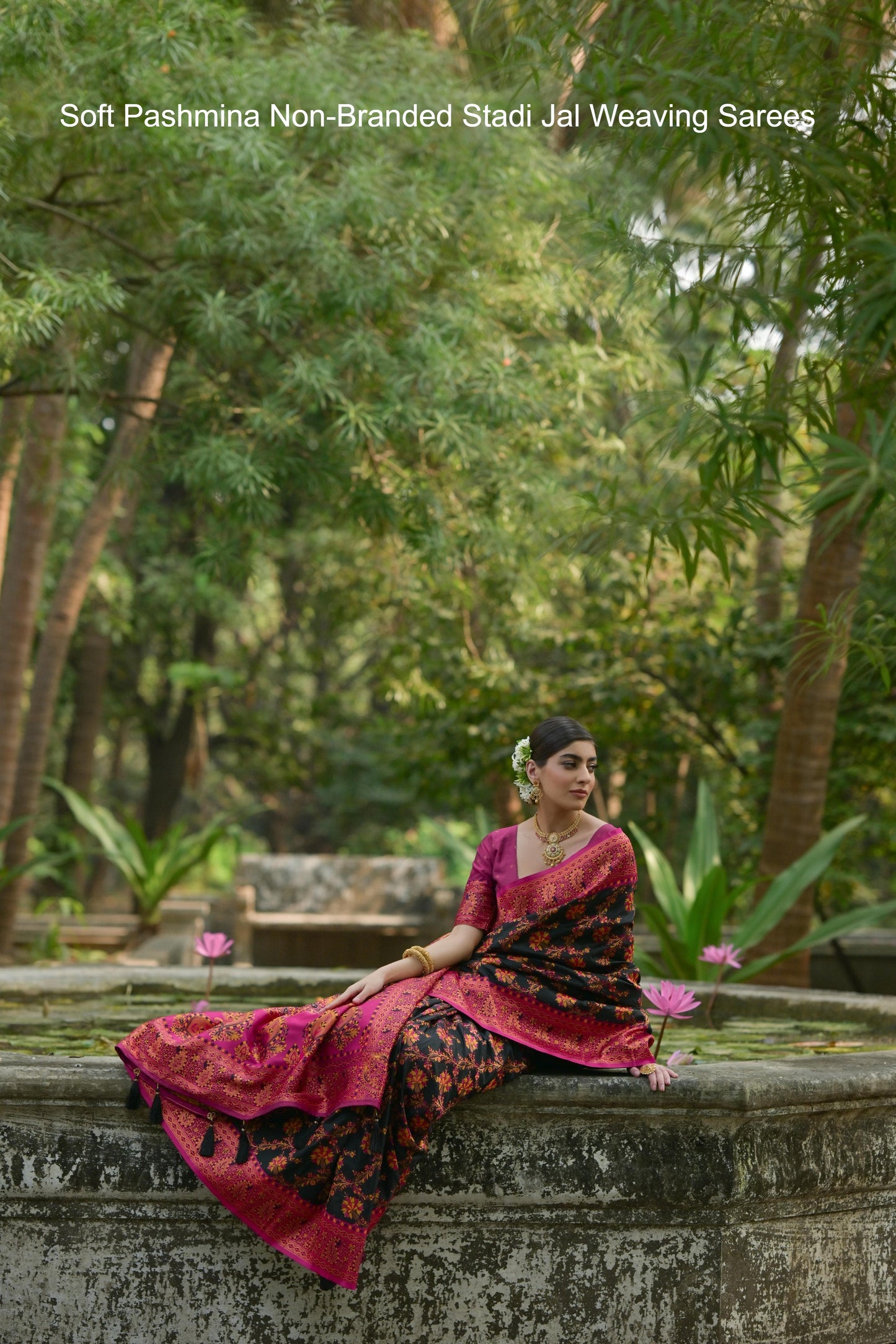 Soft Pashmina Non-Branded Stadi Jal Weaving Sarees