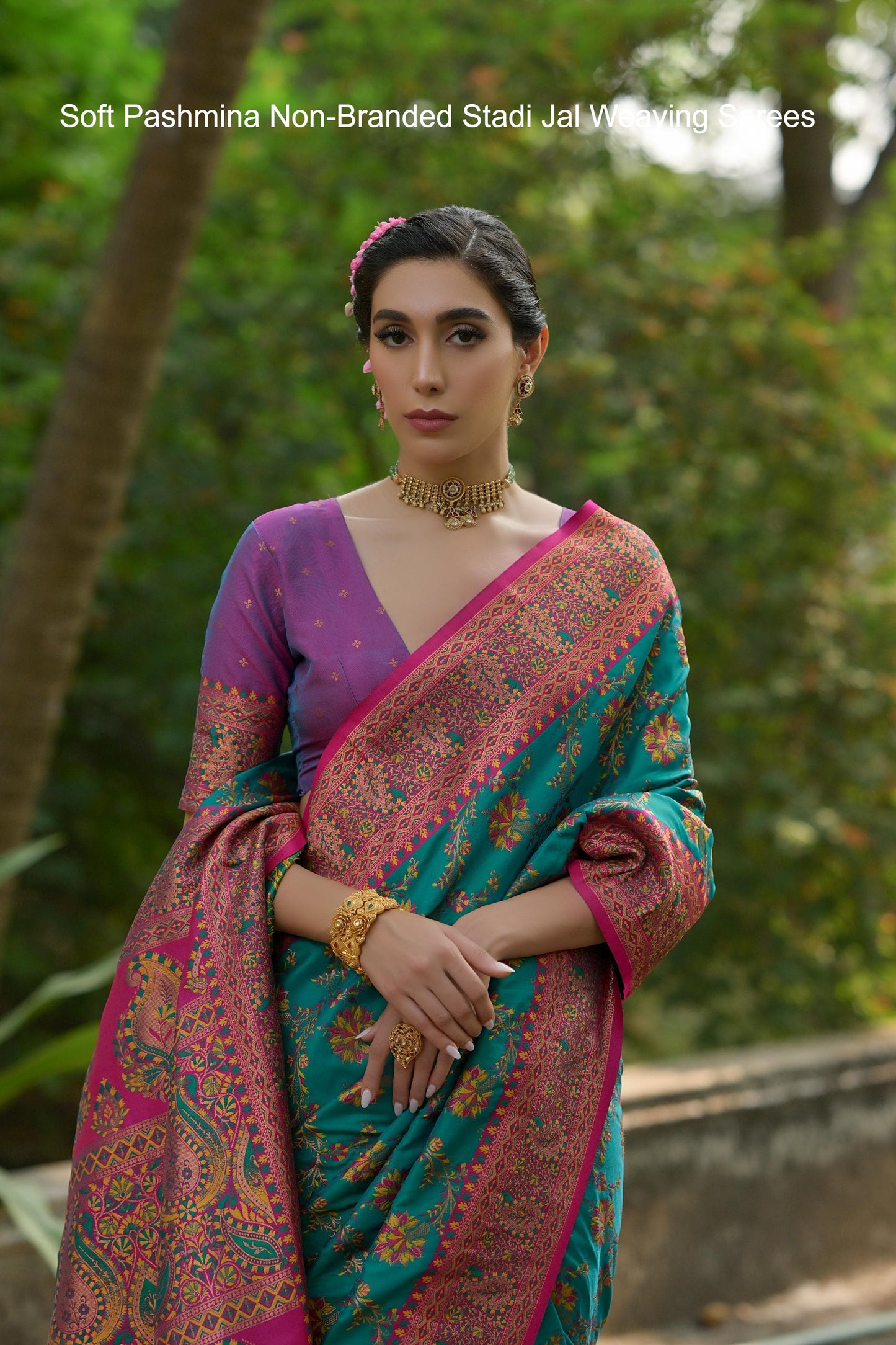 Soft Pashmina Non-Branded Stadi Jal Weaving Sarees