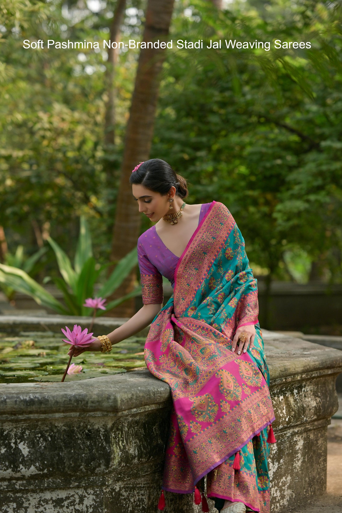 Soft Pashmina Non-Branded Stadi Jal Weaving Sarees