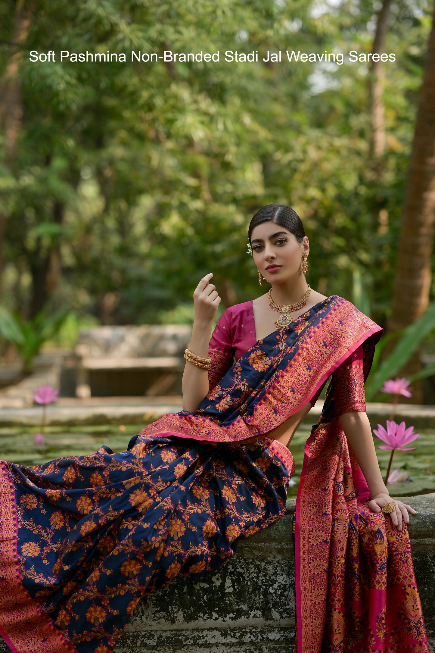 Soft Pashmina Non-Branded Stadi Jal Weaving Sarees