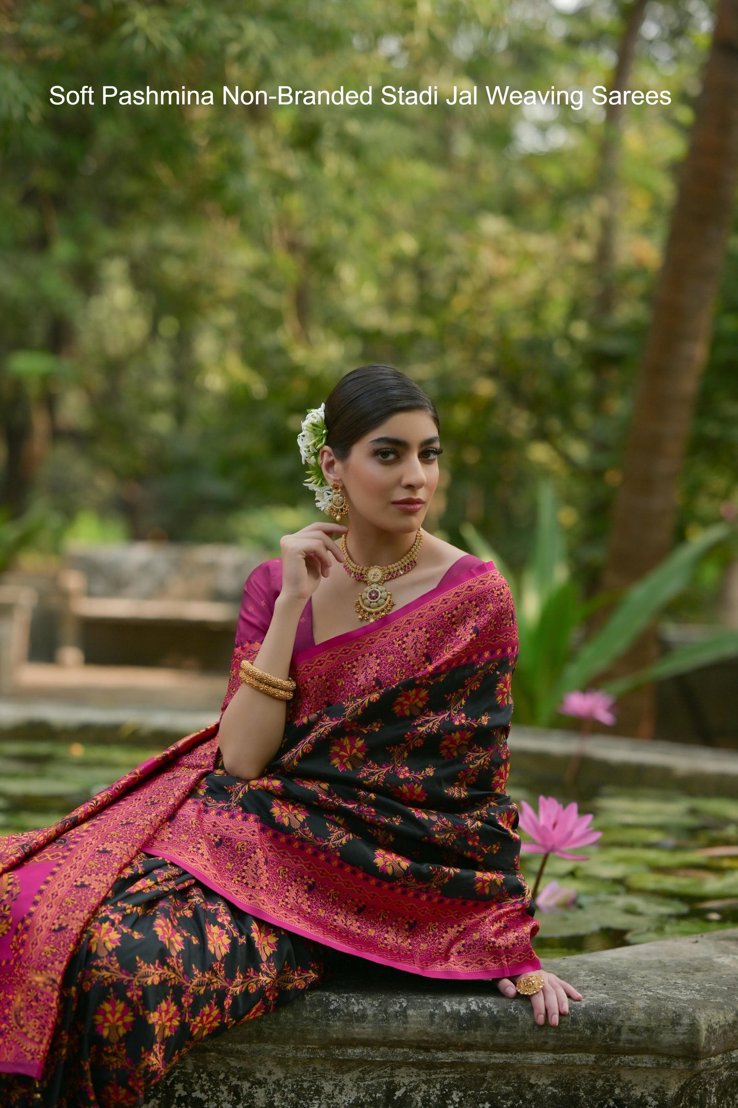 Soft Pashmina Non-Branded Stadi Jal Weaving Sarees