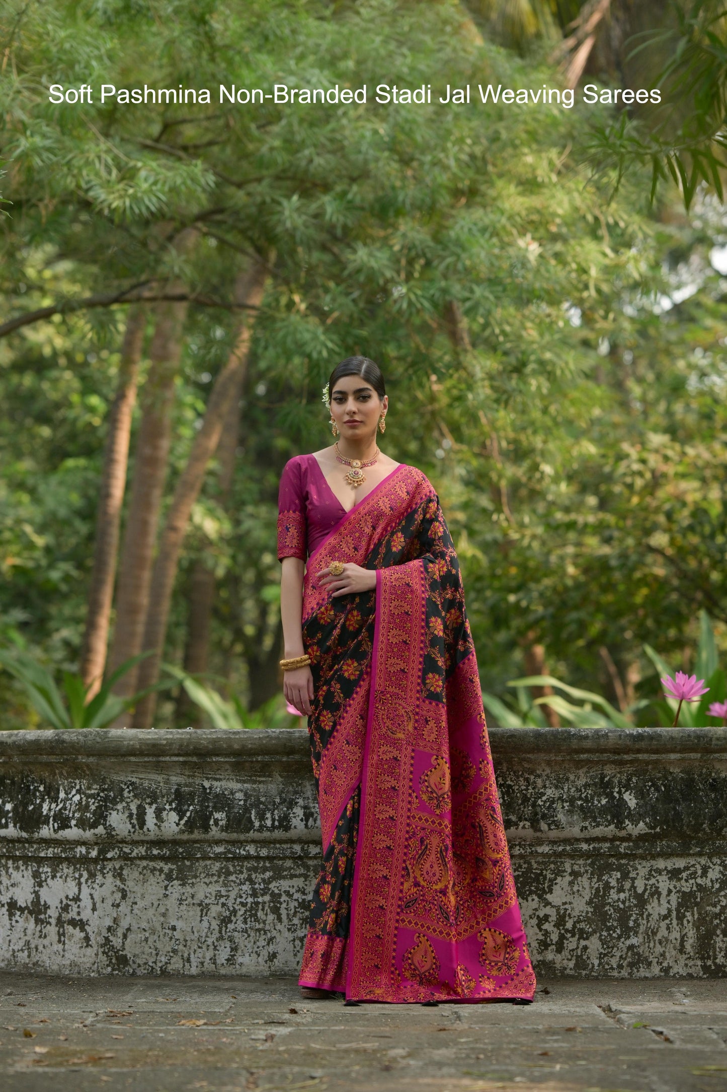 Soft Pashmina Non-Branded Stadi Jal Weaving Sarees