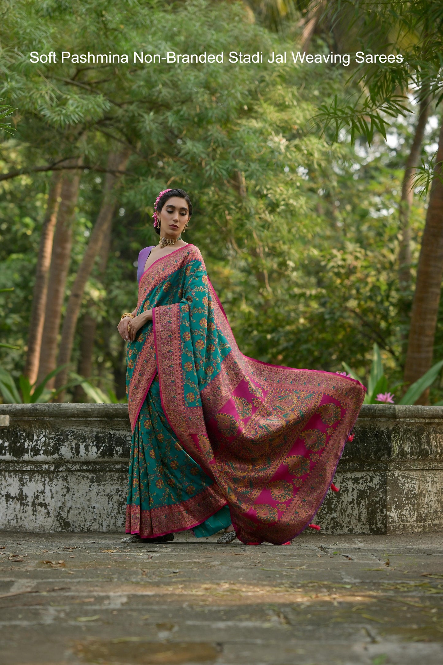 Soft Pashmina Non-Branded Stadi Jal Weaving Sarees