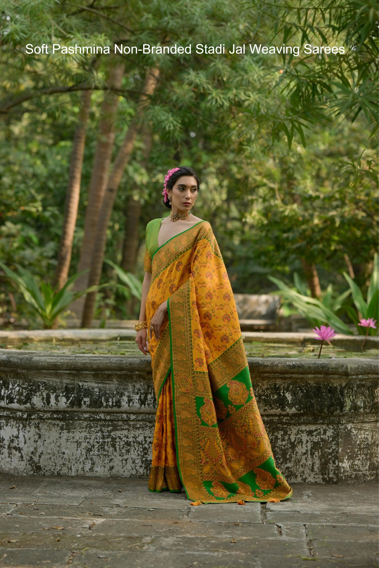 Soft Pashmina Non-Branded Stadi Jal Weaving Sarees