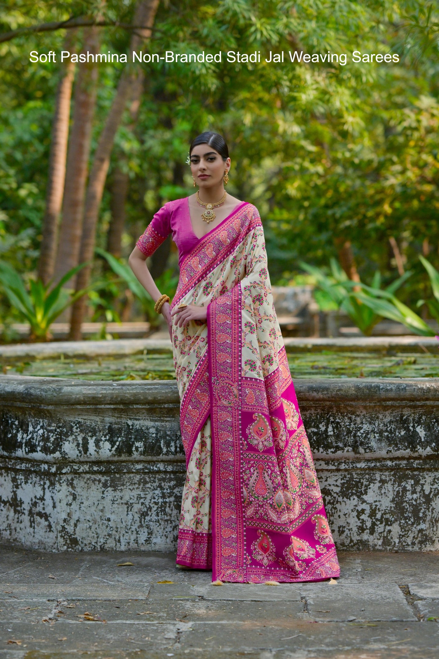 Soft Pashmina Non-Branded Stadi Jal Weaving Sarees