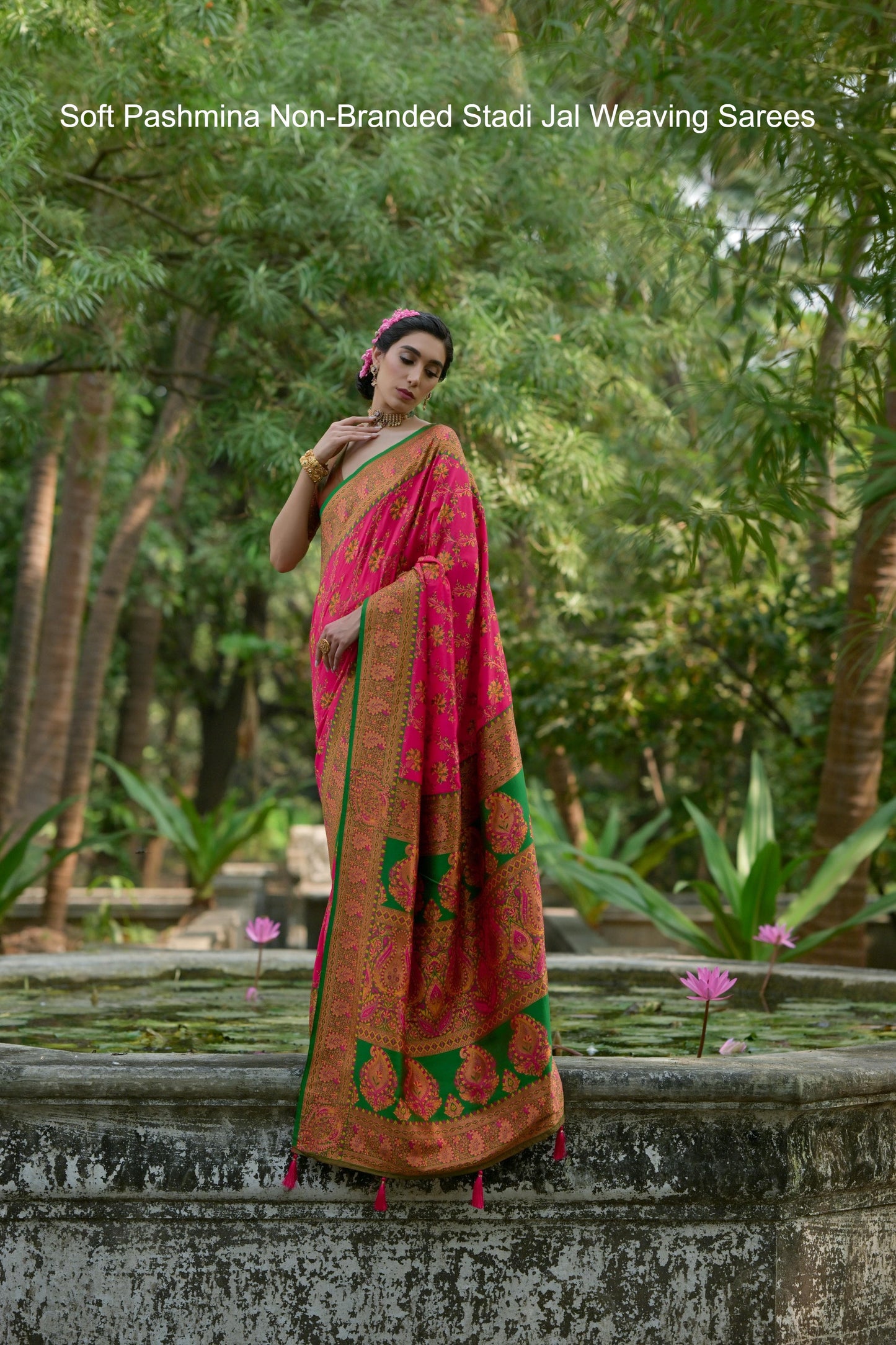Soft Pashmina Non-Branded Stadi Jal Weaving Sarees