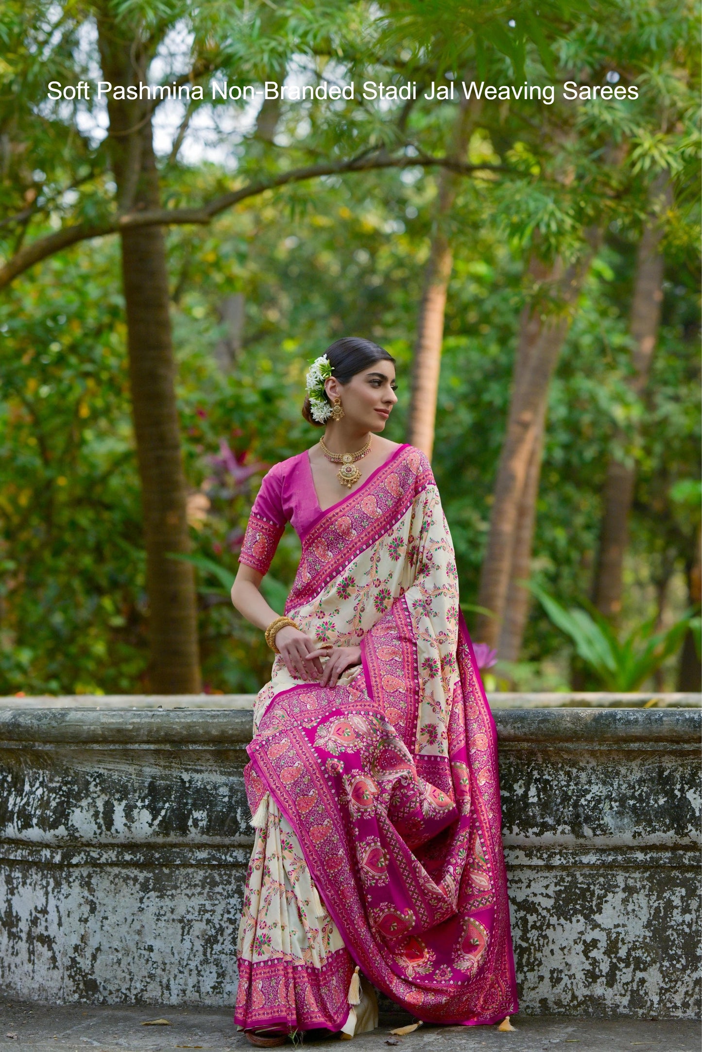 Soft Pashmina Non-Branded Stadi Jal Weaving Sarees