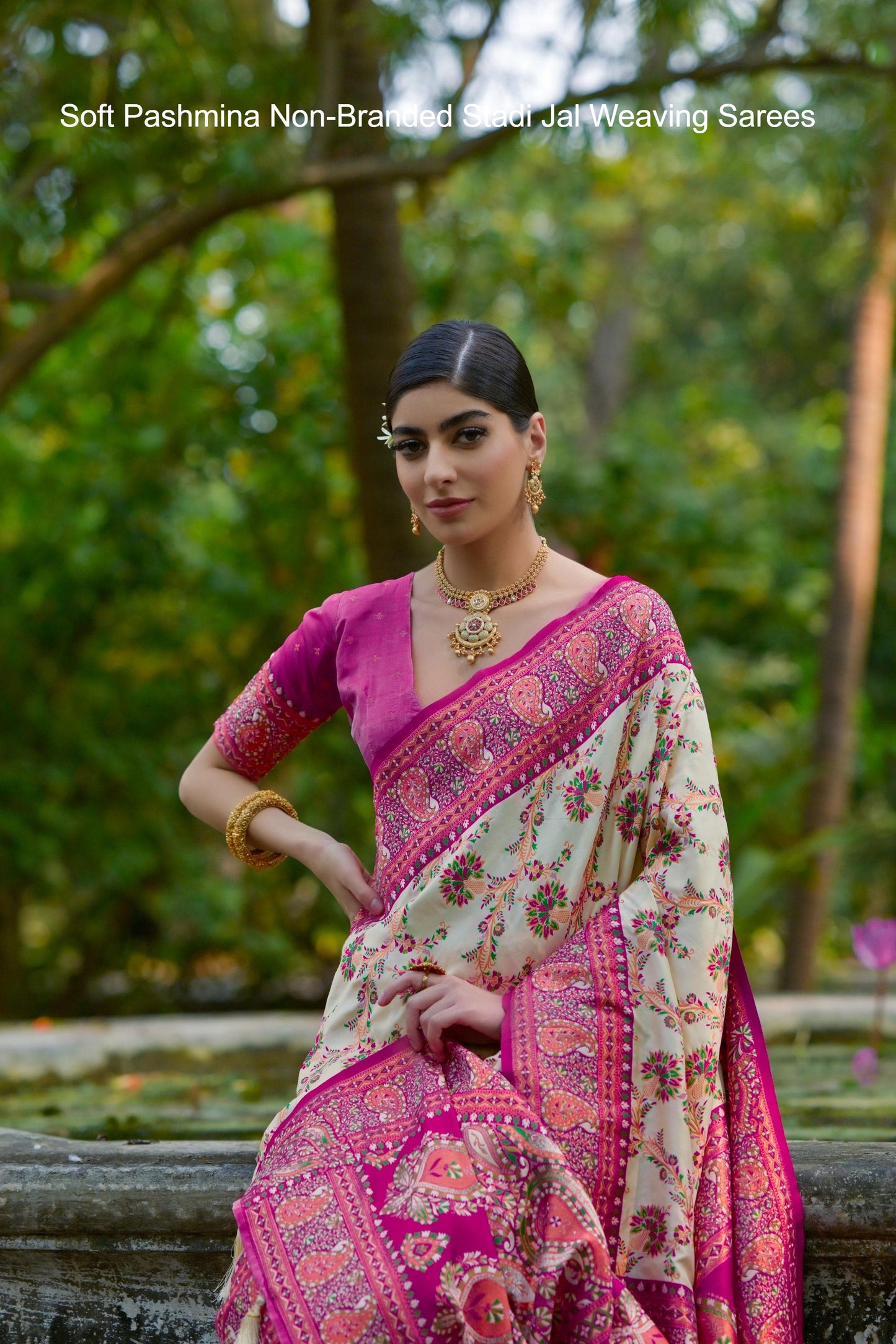 Soft Pashmina Non-Branded Stadi Jal Weaving Sarees