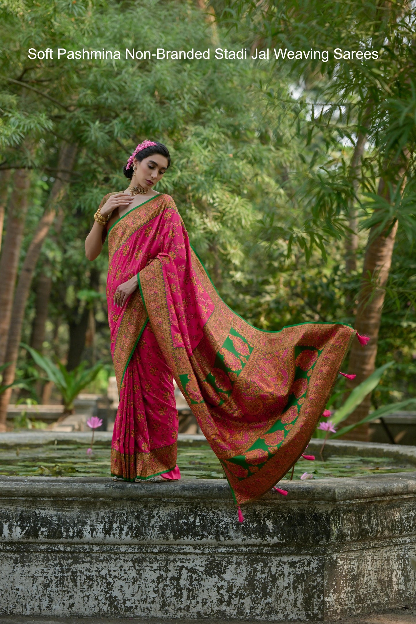 Soft Pashmina Non-Branded Stadi Jal Weaving Sarees
