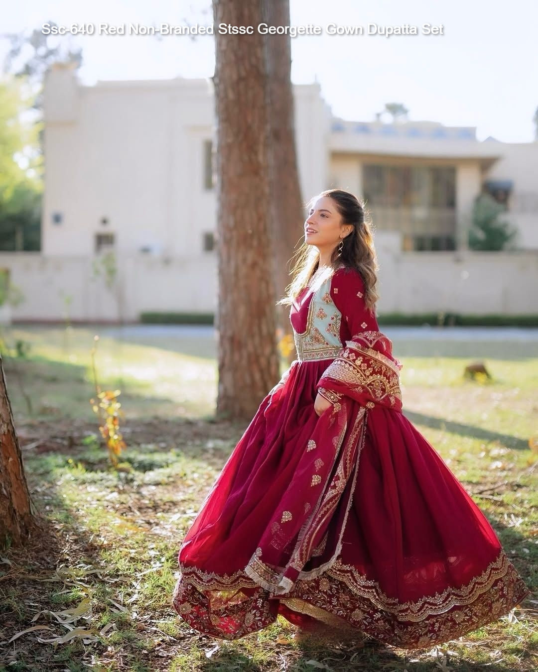 Ssc-640 Red Non-Branded Stssc Georgette Gown Dupatta Set