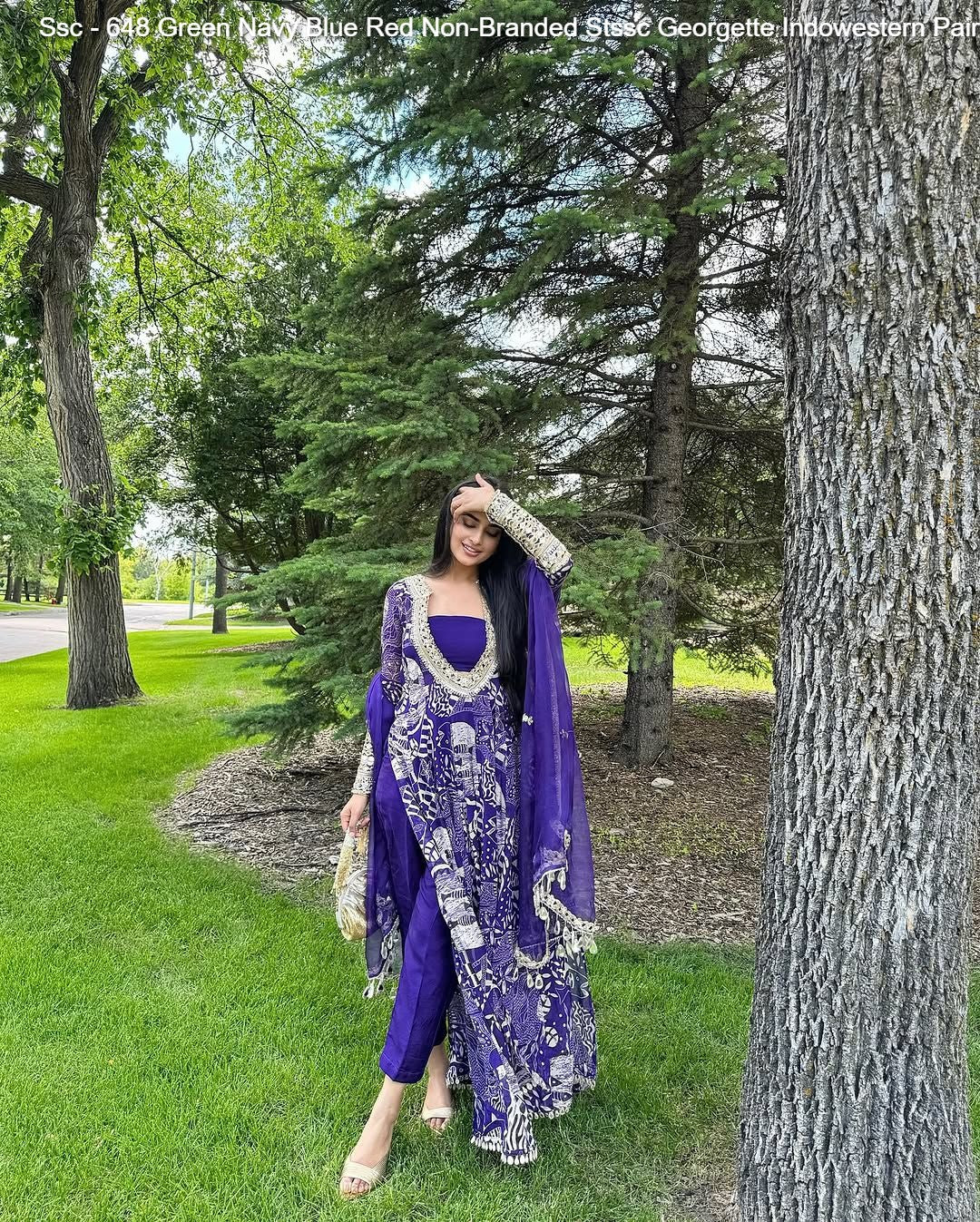 Ssc - 648 Green Navy Blue Red Non-Branded Stssc Georgette Indowestern Pair
