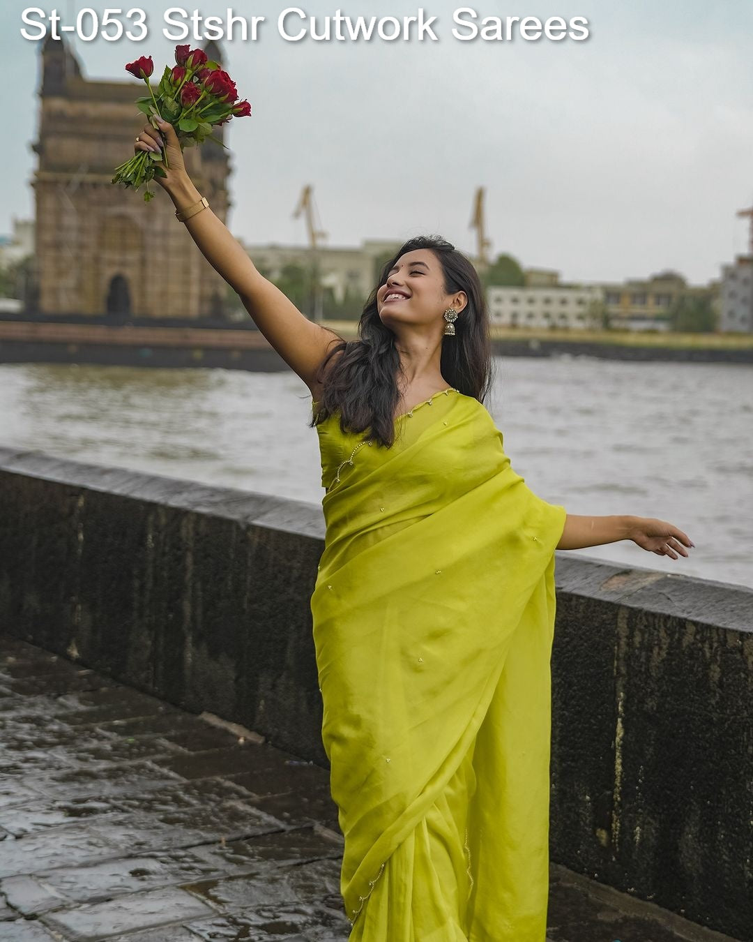 St-053 Stshr Cutwork Sarees